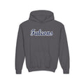 Gildan Heavy-blend YOUTH Falcons Hoodie