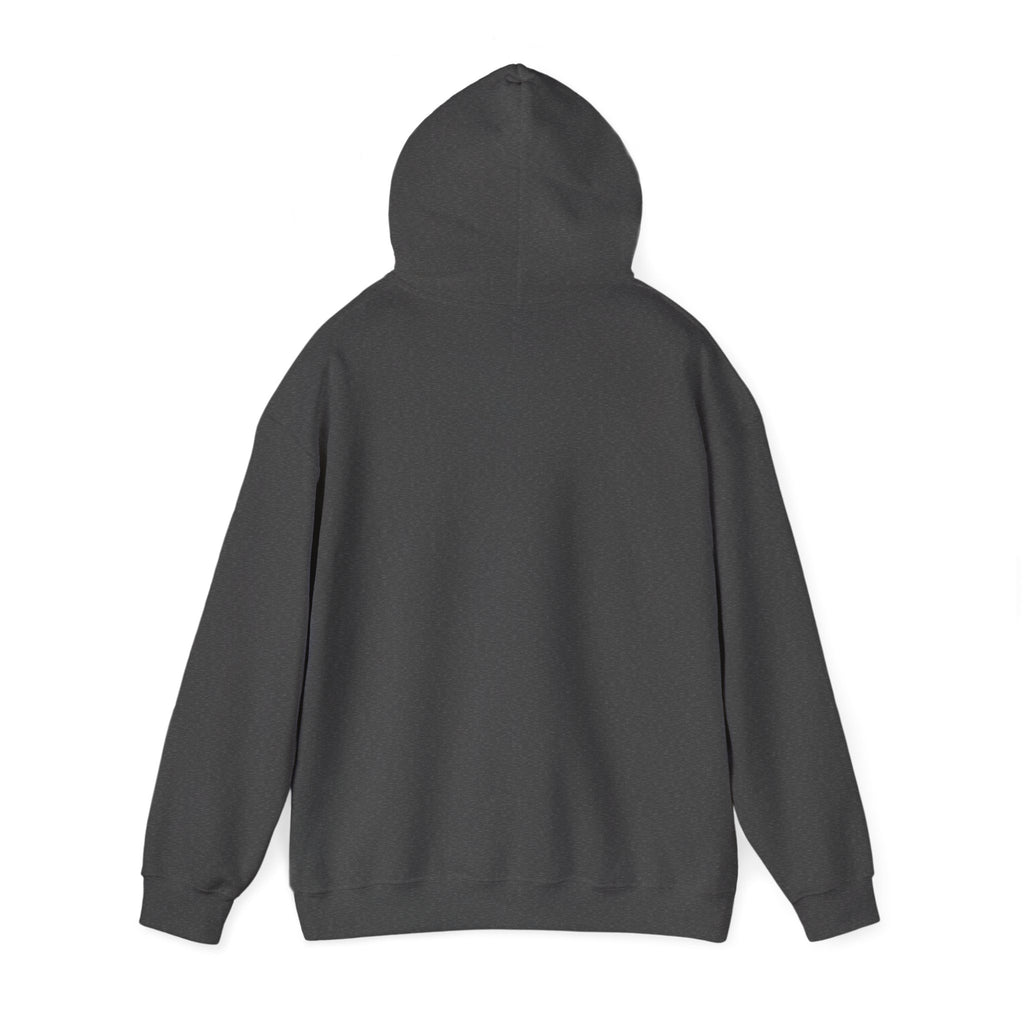 Gildan Heavy-blend ADULT Falcons Script Hoodie